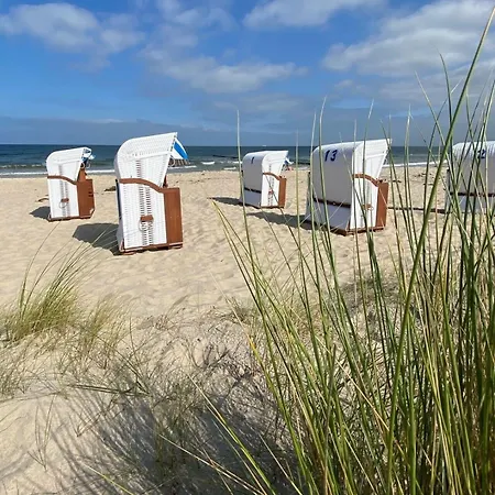 Albatros * Ueckeritz